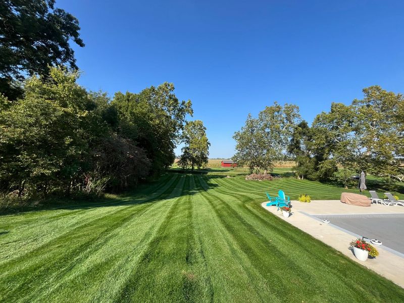 Beautiful Lawns