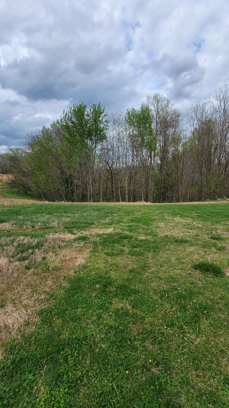 Land Clearing gallery