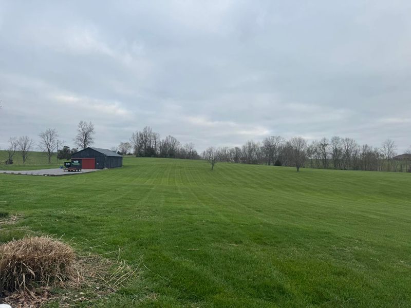 Lawn Mowing