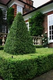 Garden Care and Planting