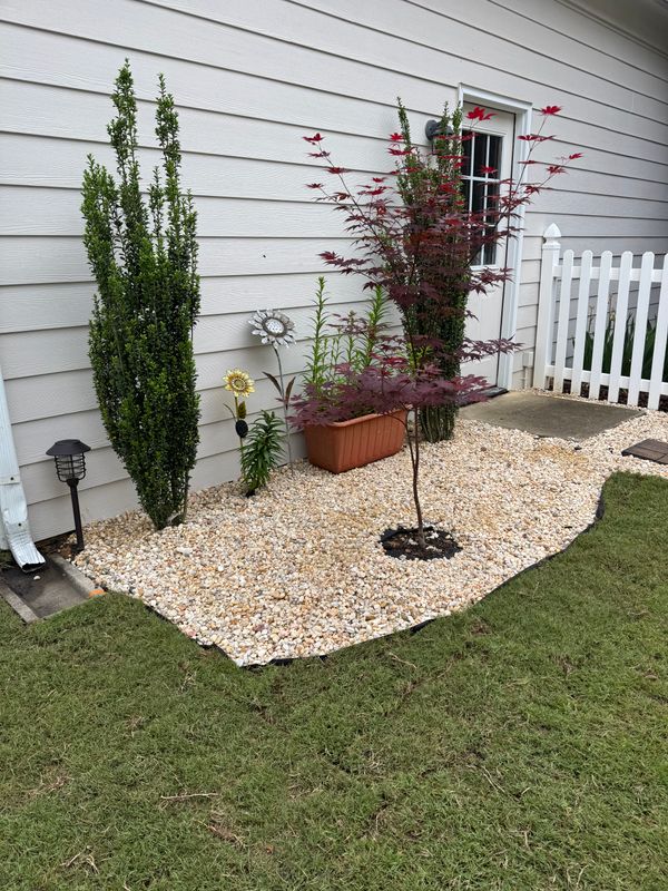 Planting