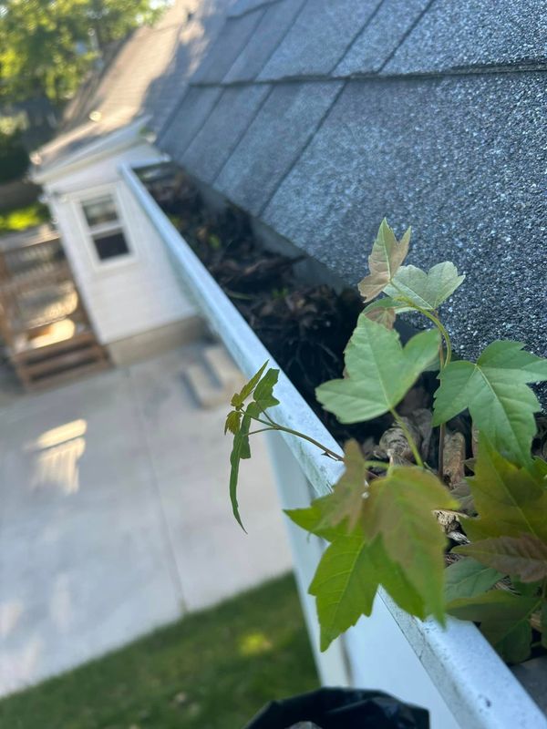 Gutter Installation