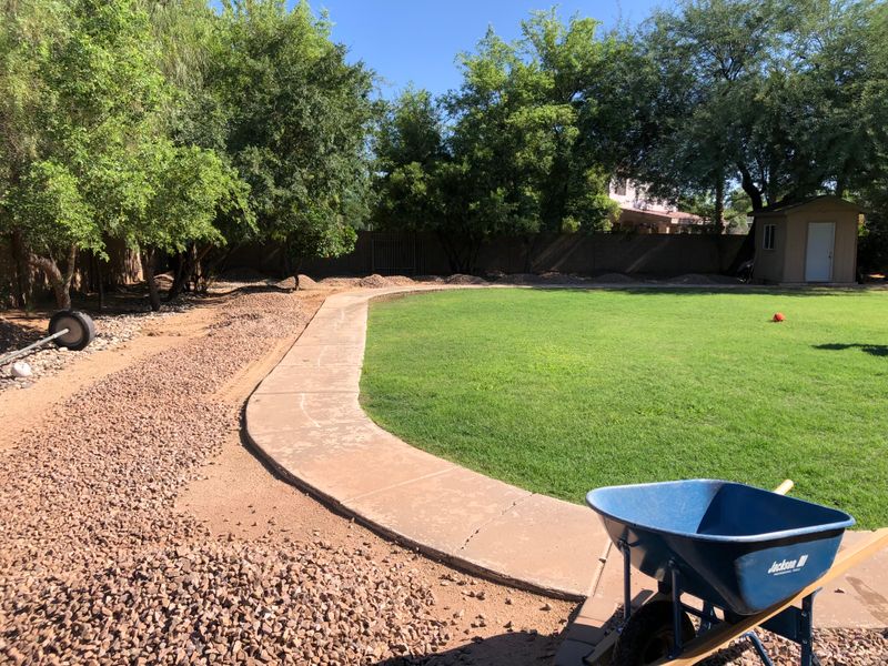 Lawn Aeration