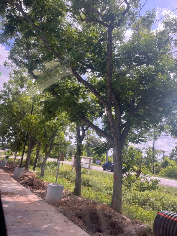 Land clearing
