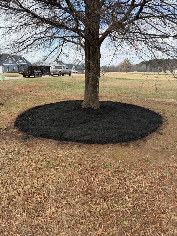 Mulch