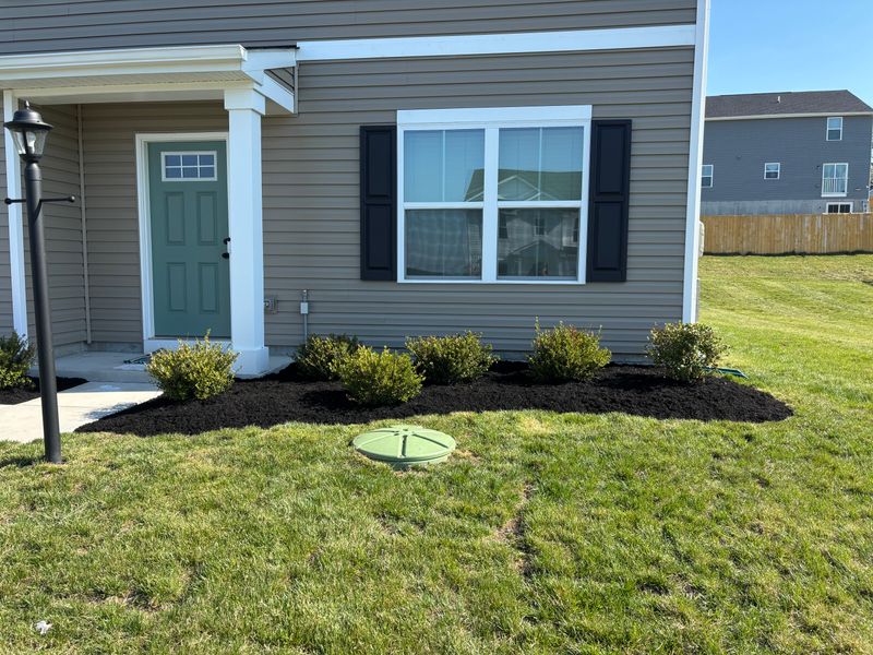 Mulching