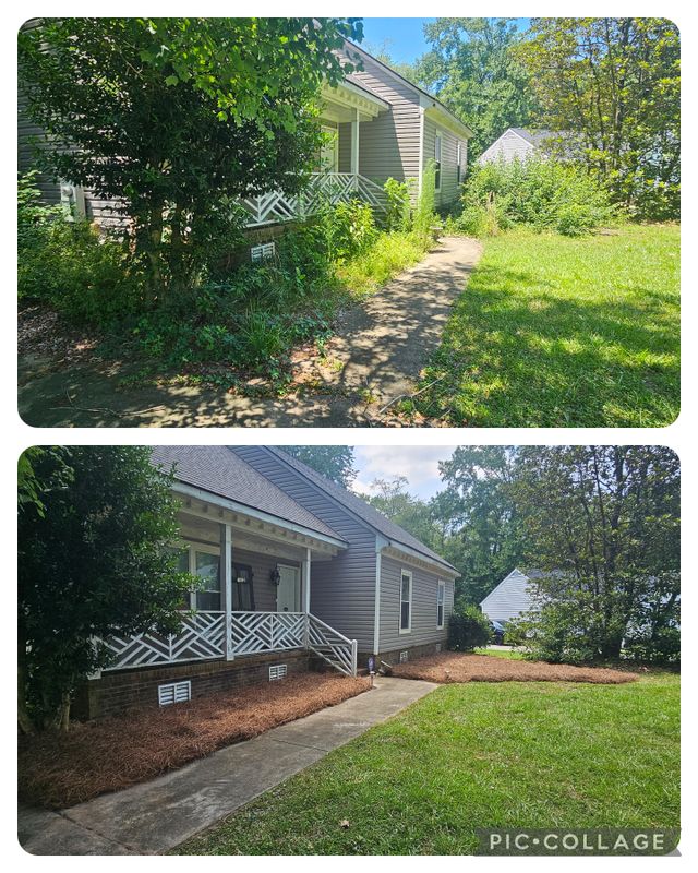 Before and After