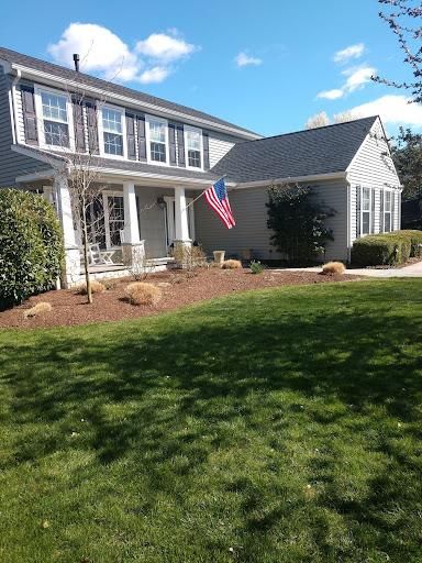 Privacy Plantings