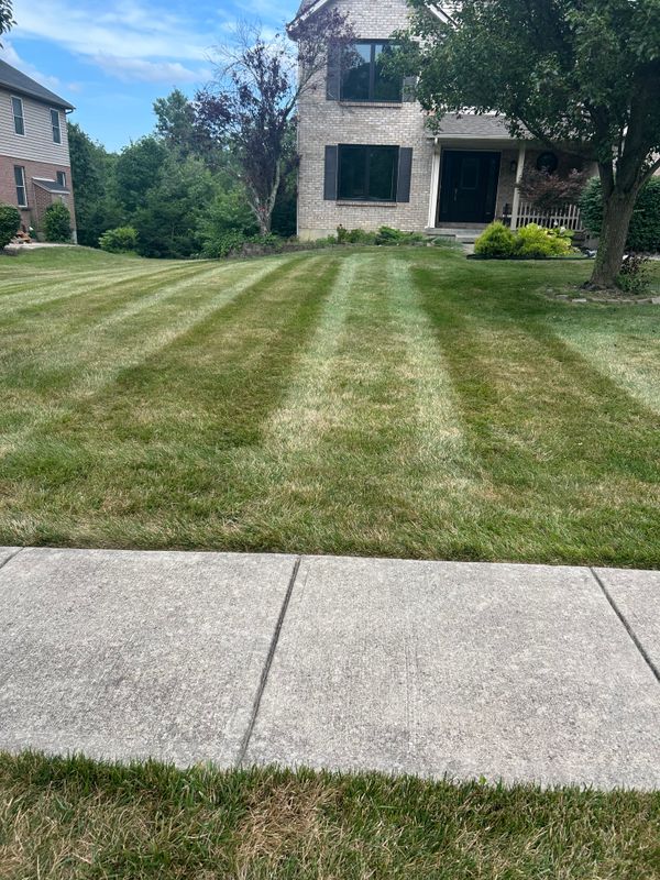 Transform Your Outdoors with Precision Lawn Mowing