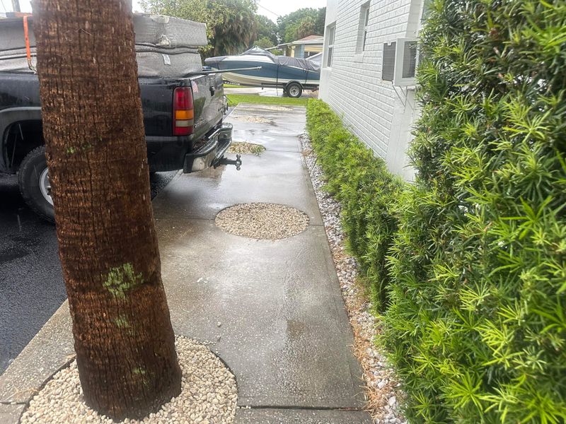 Tree Trimming