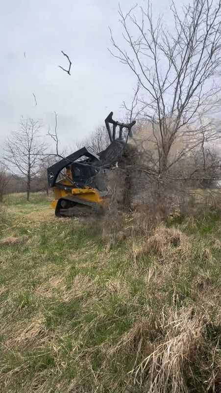 Tree Removal