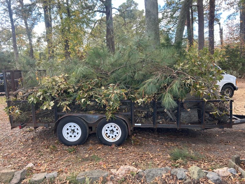 Spring & Fall Cleanup