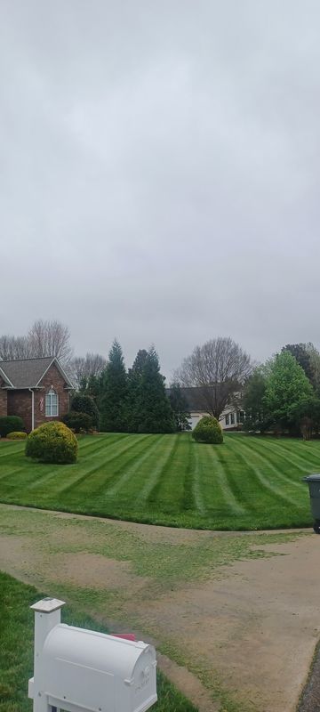 Lawn Maintenance