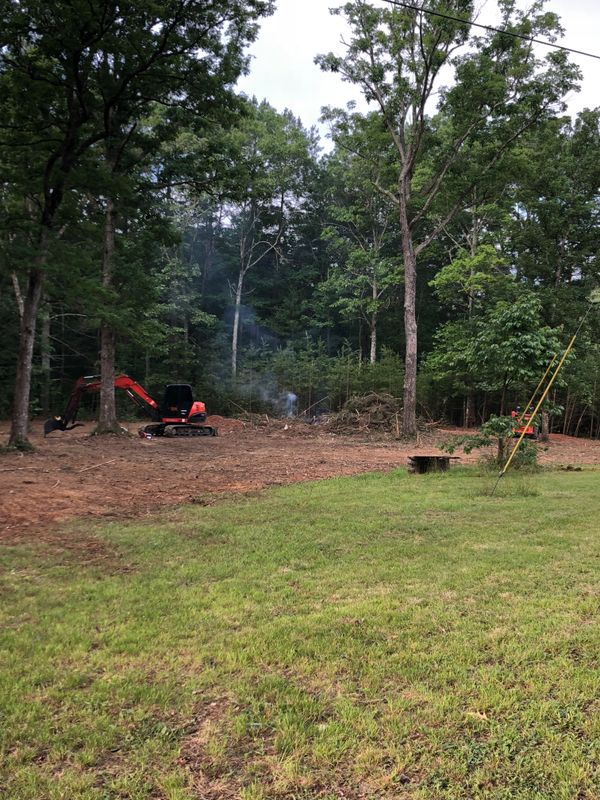 Clearing