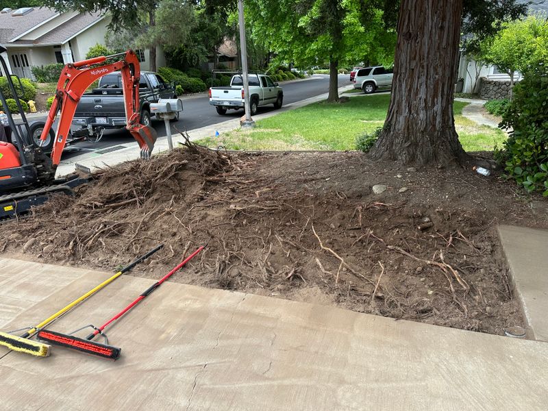 Hardscape Installation