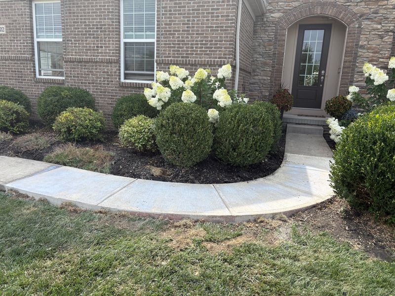 Sidewalk Installation