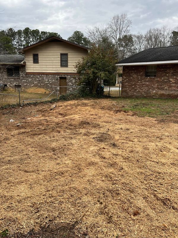 Stump Grinding and Removal