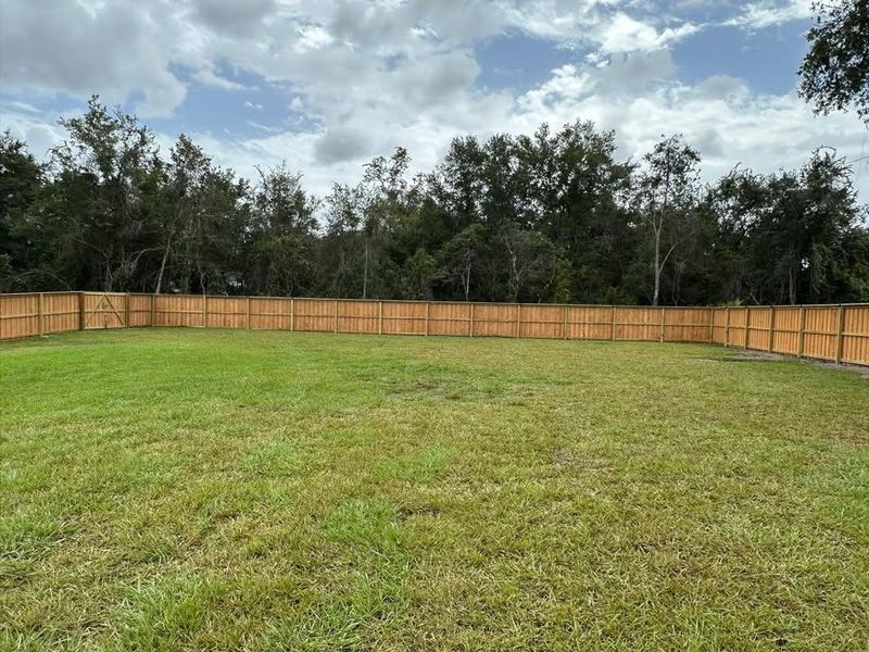 Equestrian Fencing