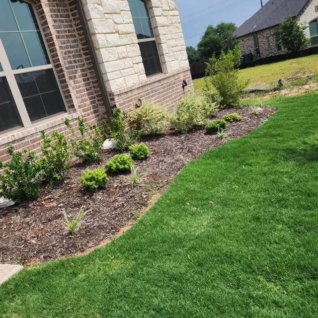 Landscape Design