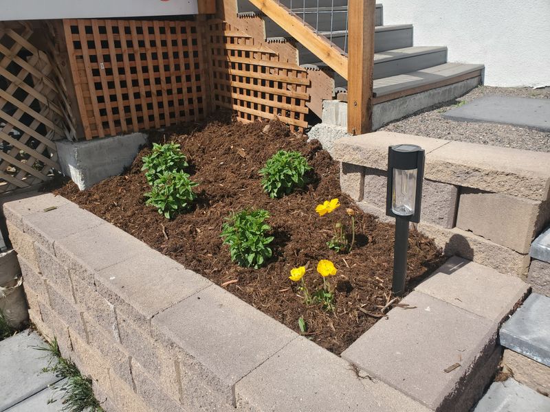 Mulch Installation