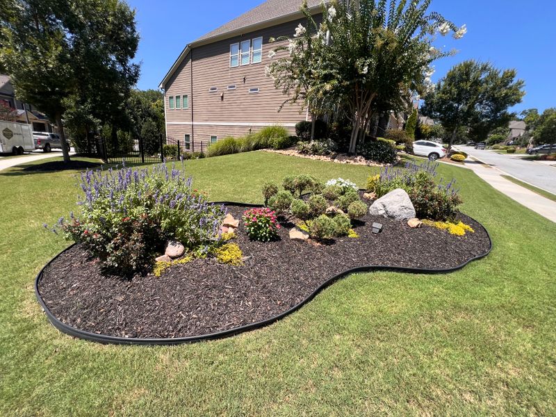 Garden Design and Installation