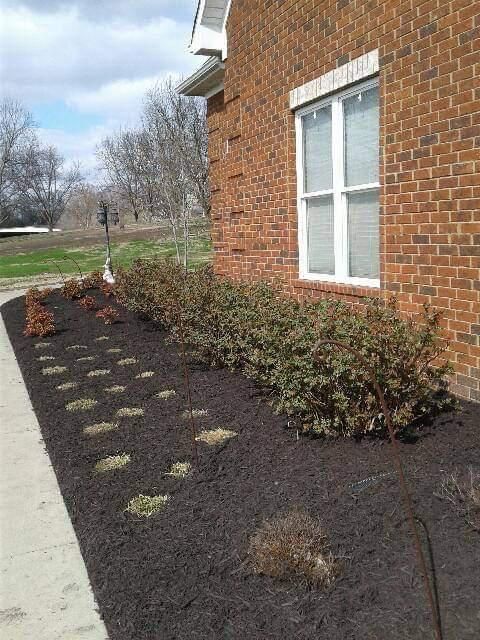 Weed Control