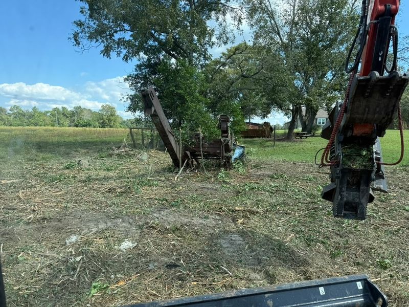Forestry Mulching