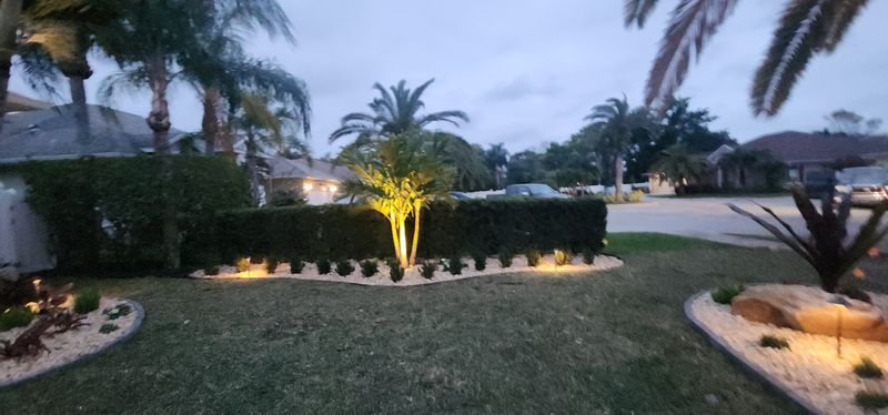 Landscape Installation