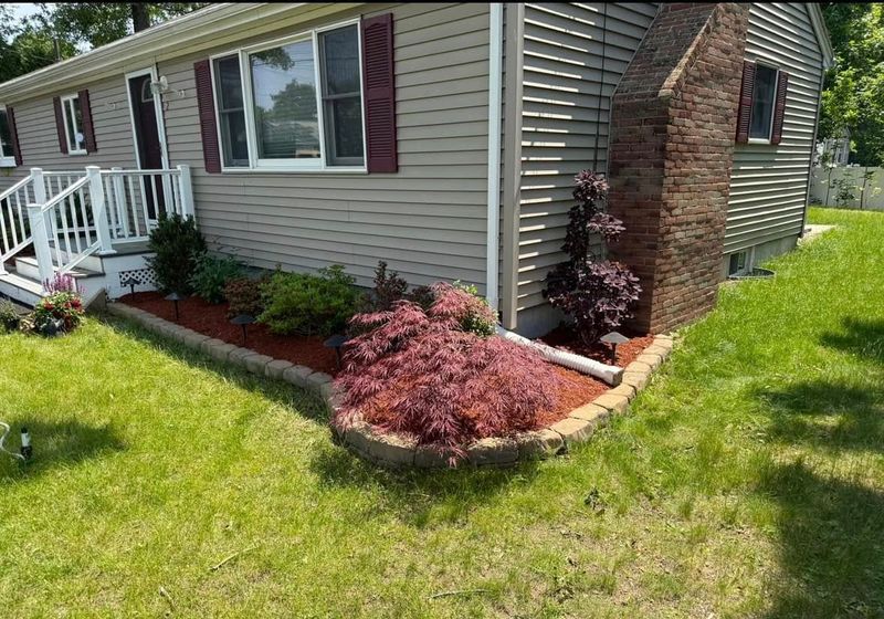 Mulch Installation