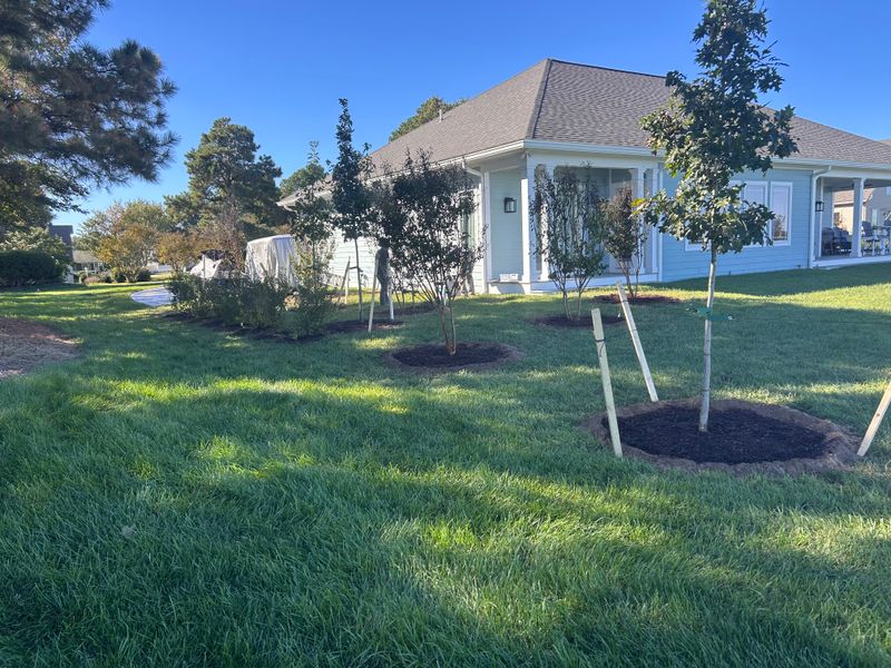 Mulch Installation