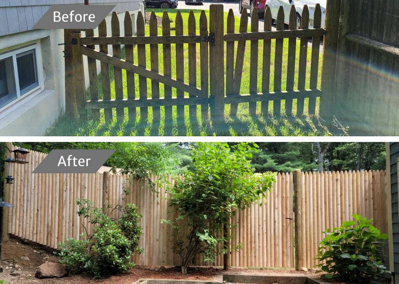 Before and After