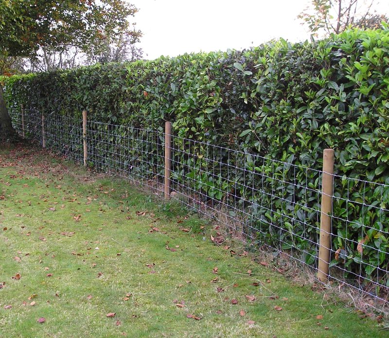 Fence Installation