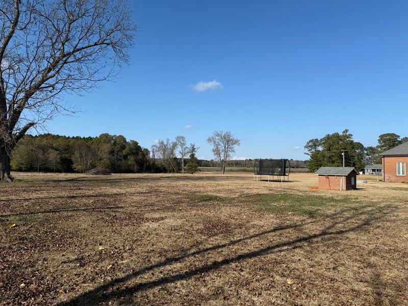 Land Clearing