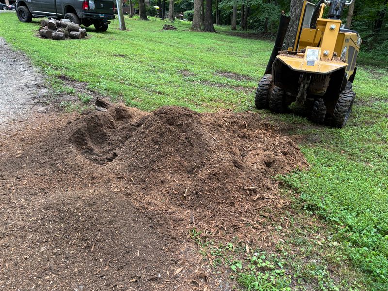 Stump Removal