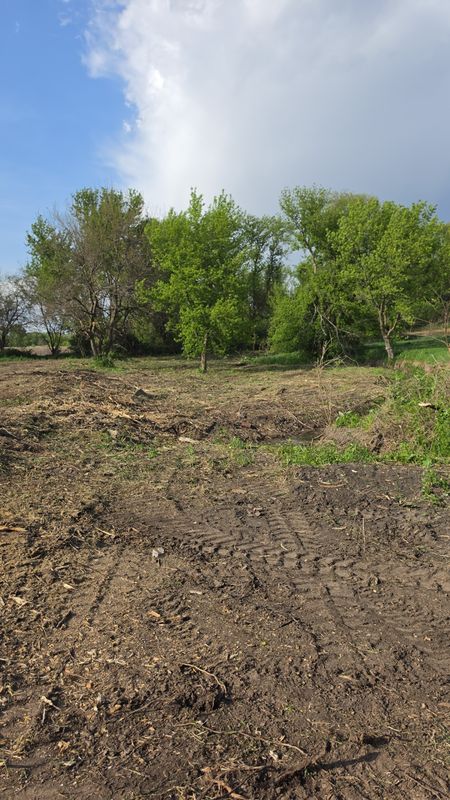 Forestry Mulching