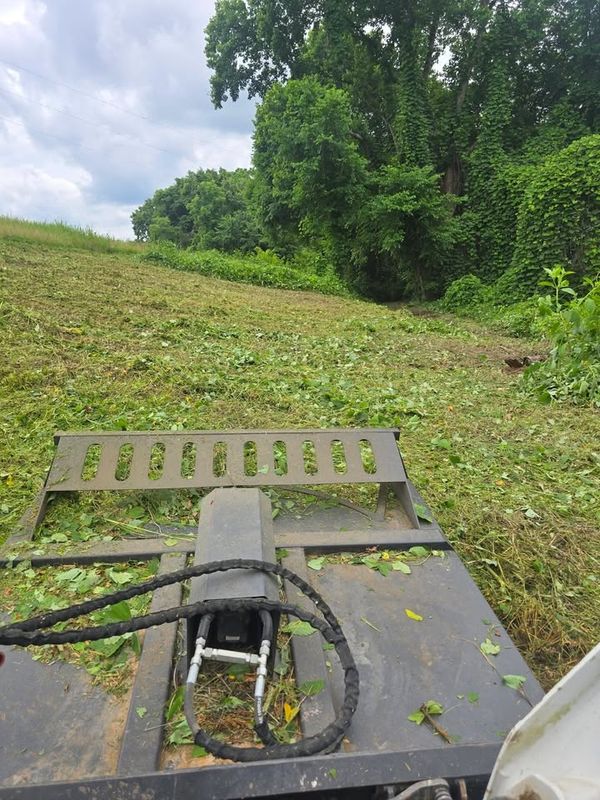 Bush Hogging