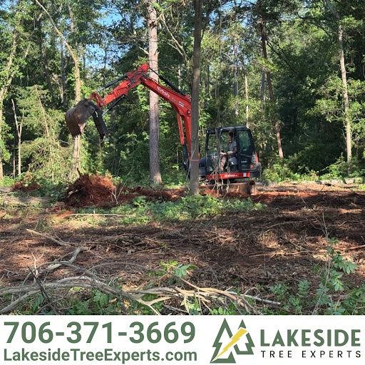 Land Clearing