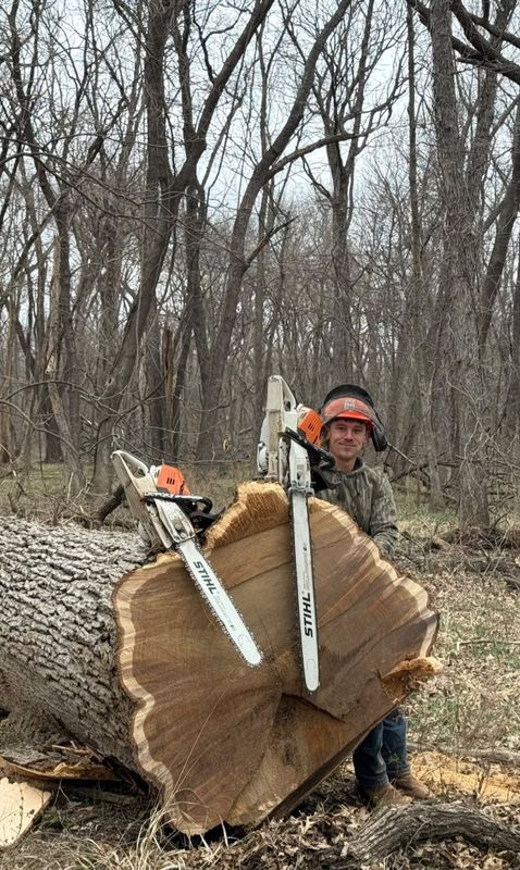 Tree Removal
