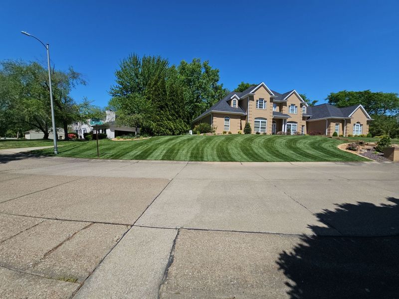 Lawn Maintenance