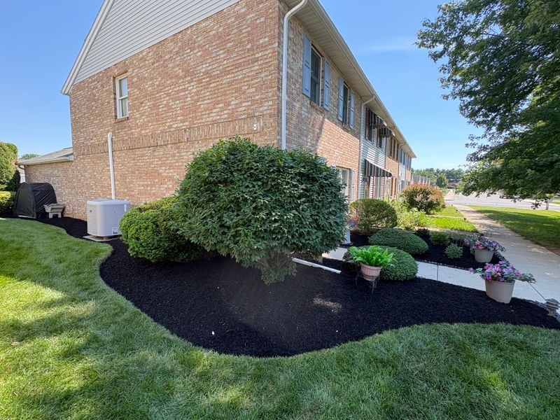 Shrub Trimming