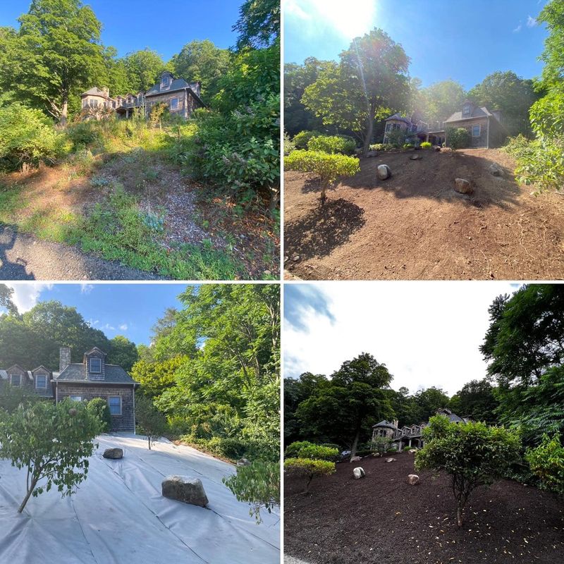 Landscaping