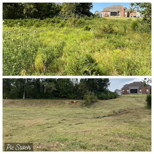 Land Clearing