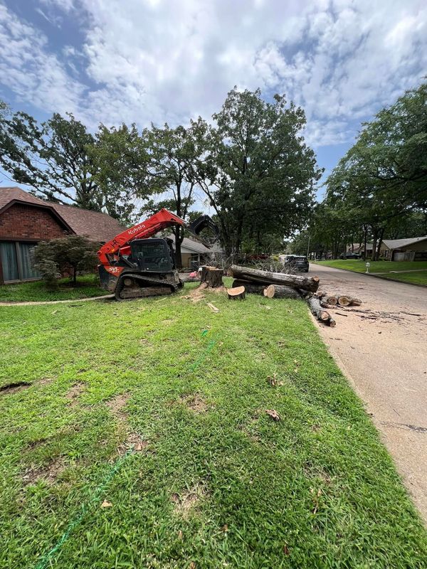 Tree Removal