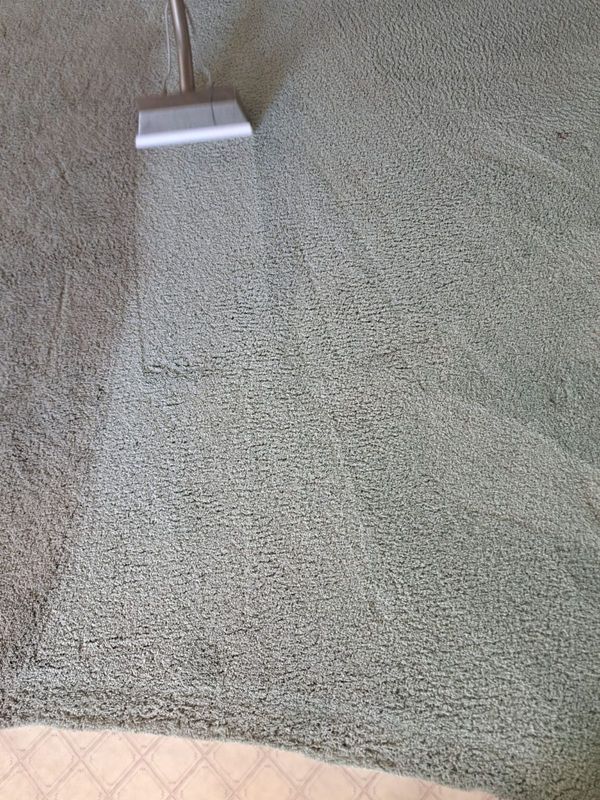 Carpet Cleaning