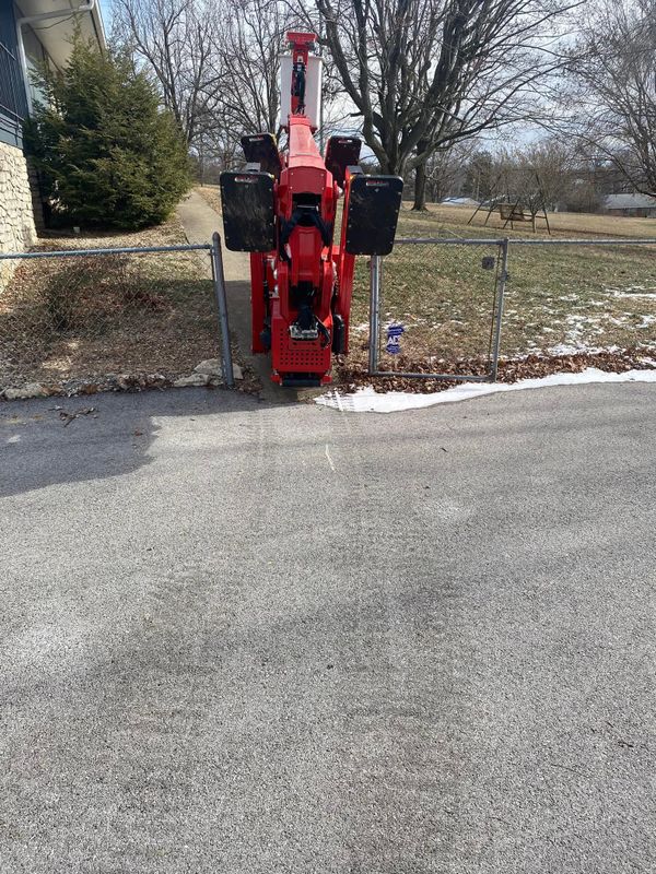 Tree Removal