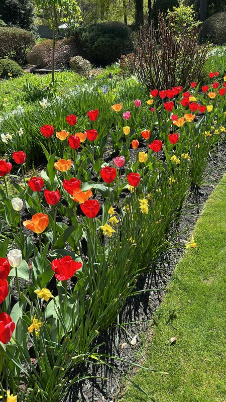 Lawn Maintenance