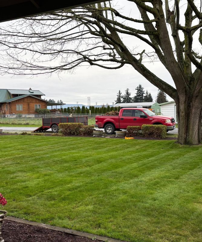 Hedge Trimming