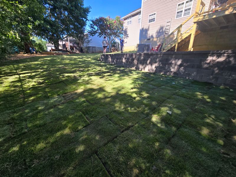 Custom Backyards