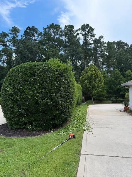 Shrub Trimming
