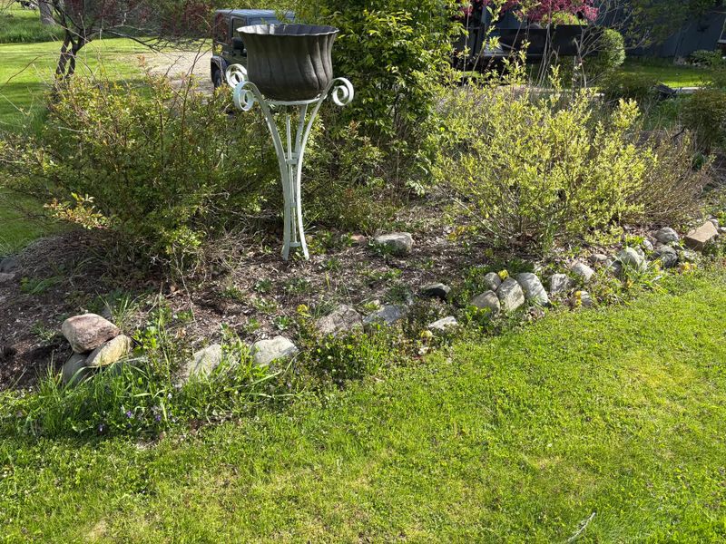 Garden Designs